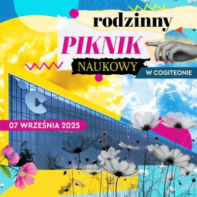 plakat pikniku